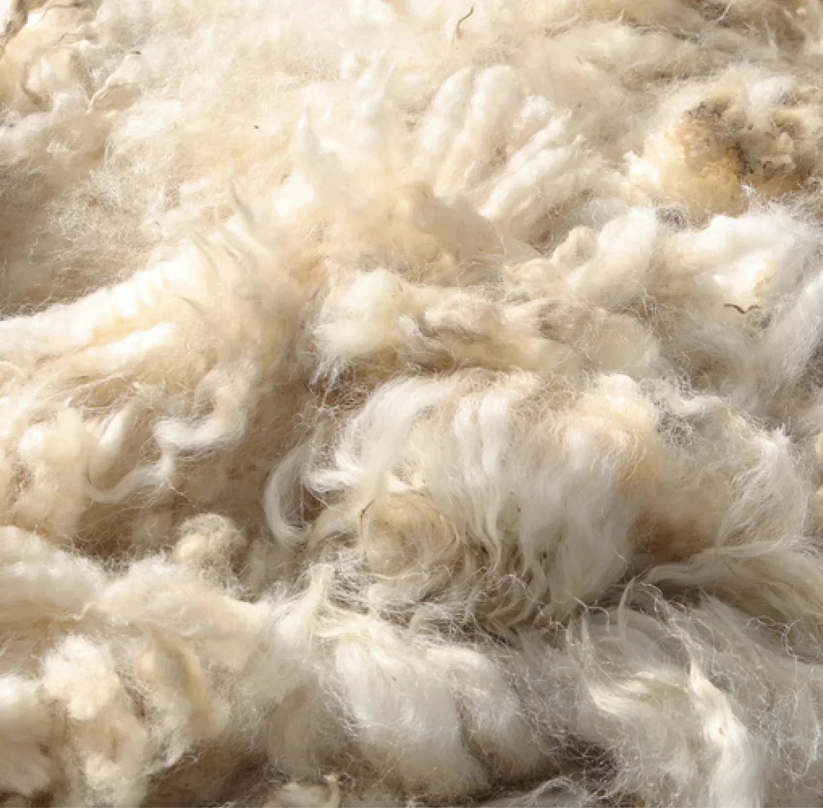 MERINO WOOL